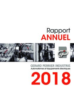 rapport annuel vf