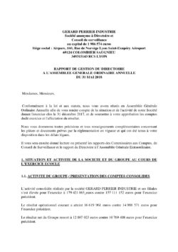 rapport gestion directoire